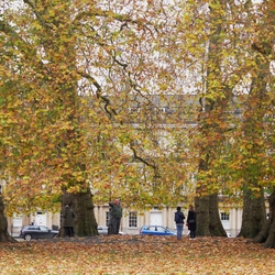 Bath 19 Nov 2023